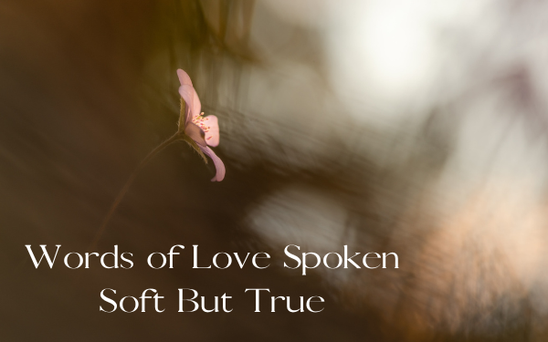 Words of Love Spoken Soft But True—Part 1