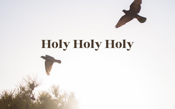 Holy, Holy, Holy—Part 1: The essential ministry of the Holy Spirit, as revealed in the Holy Scripture.